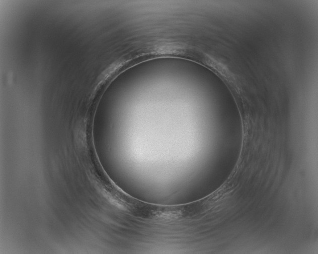 X0000060560155200511031252