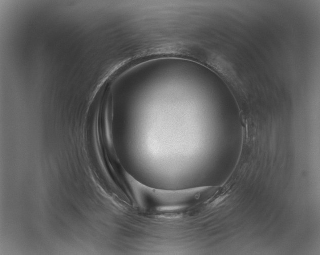 X0000060560156200511031252