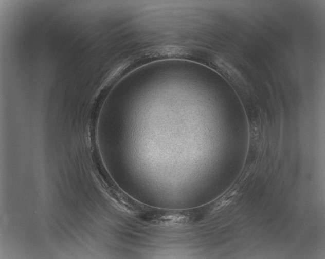 X0000060560158200511031252