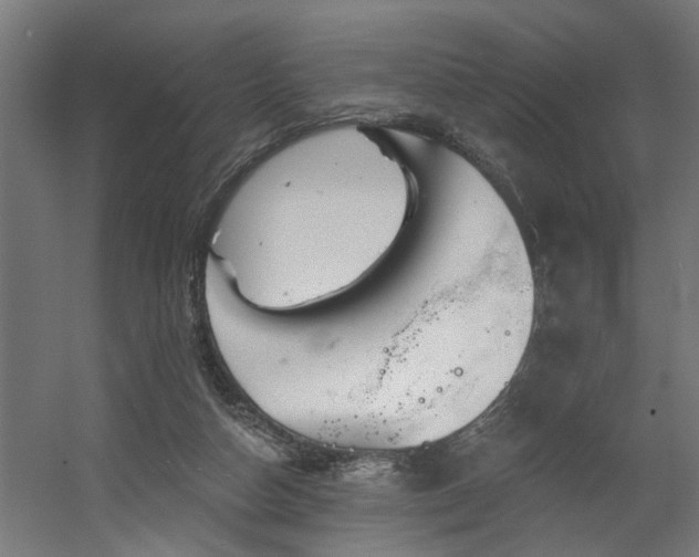 X0000060560162200511031252