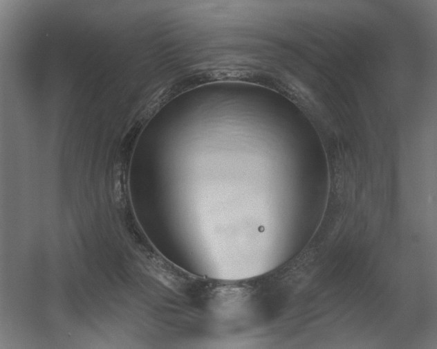 X0000060560169200511031252