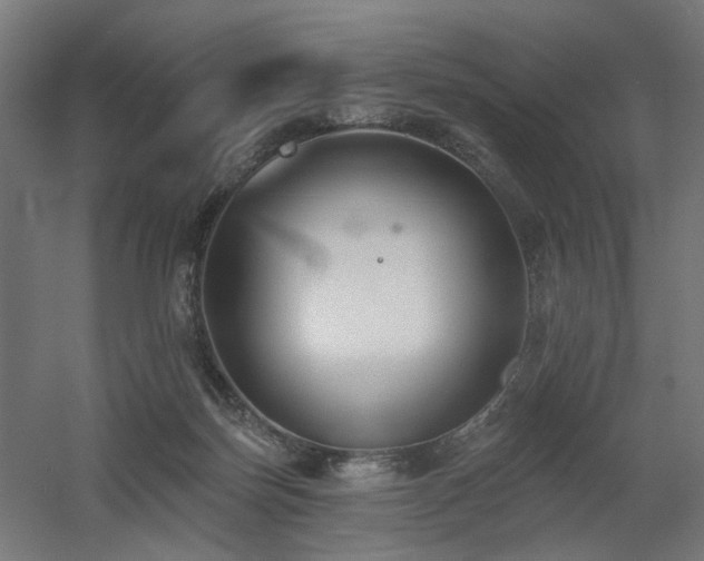 X0000060560171200511031252