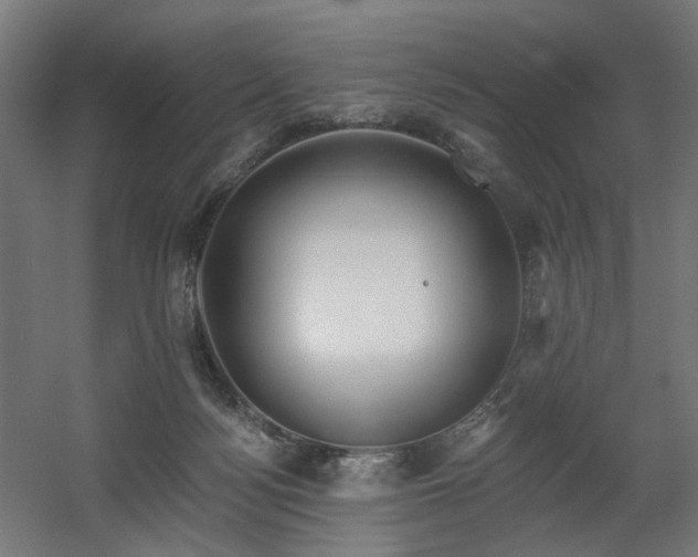 X0000060560172200511031252