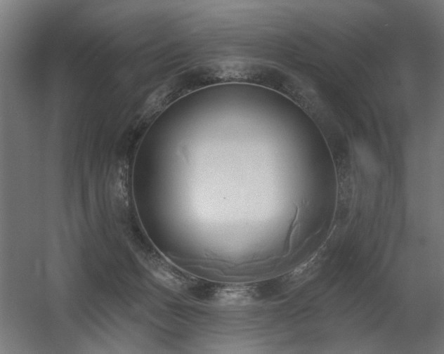 X0000060560175200511031252