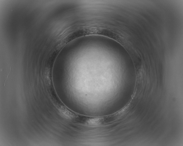 X0000060560178200511031252