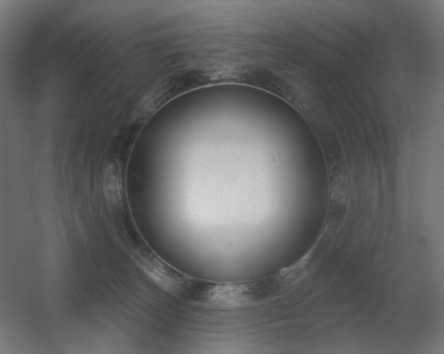 X0000060560179200511031252