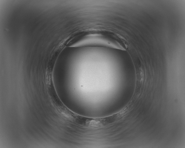 X0000060560180200511031252