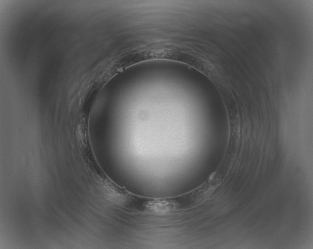 X0000060560181200511031253