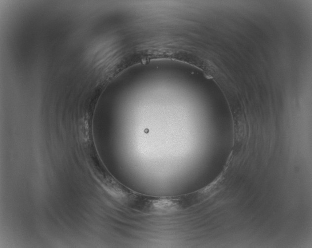 X0000060560183200511031253