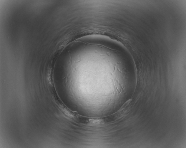 X0000060560185200511031253