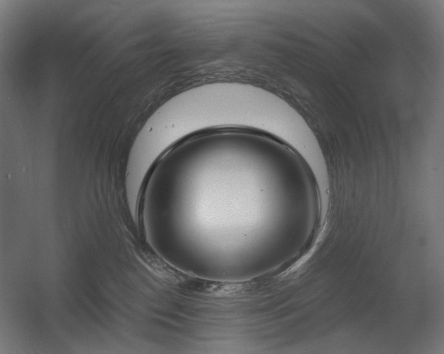 X0000060560186200511031253