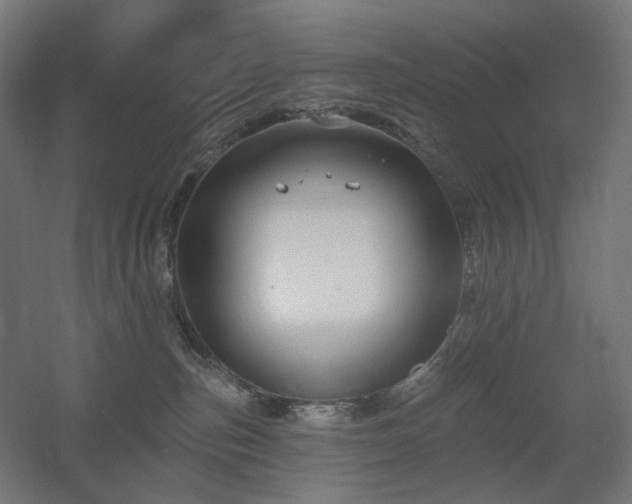 X0000060560187200511031253