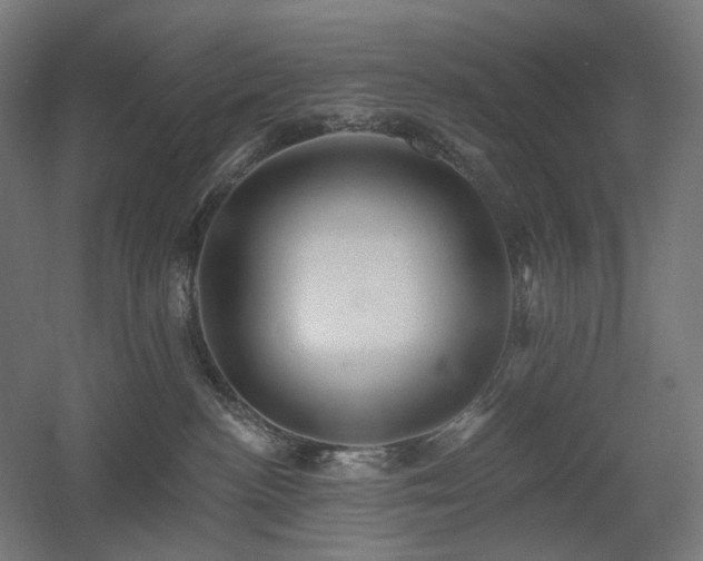 X0000060560188200511031253