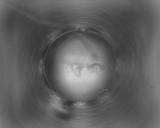 X0000060560189200511031253