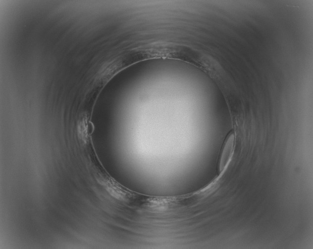 X0000060560190200511031253