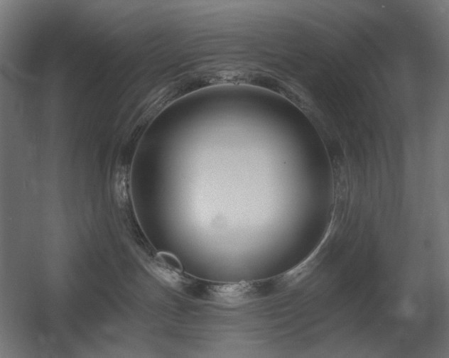 X0000060560191200511031253