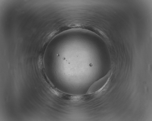 X0000060560192200511031253