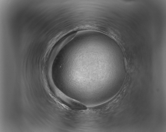 X0000060560193200511031252