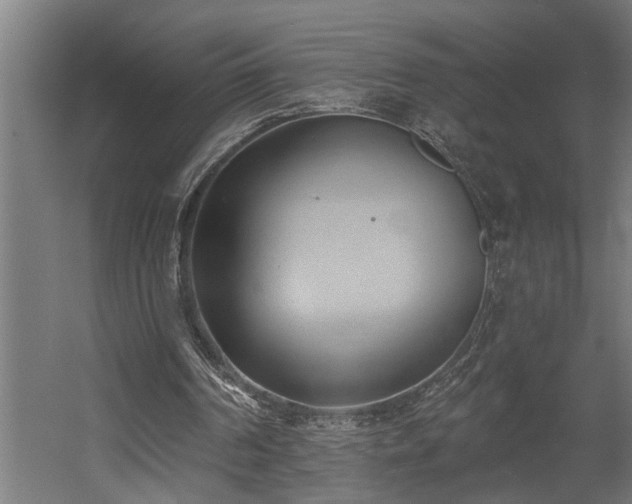 X0000060560194200511031252