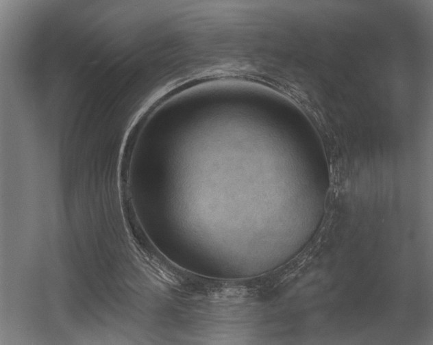 X0000060560196200511031252