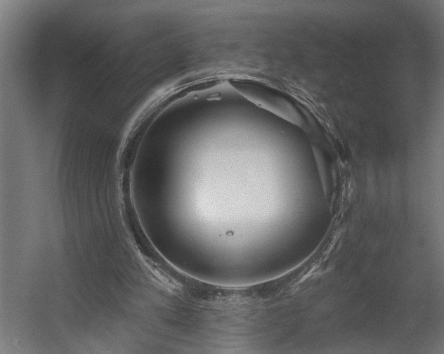 X0000060560197200511031252