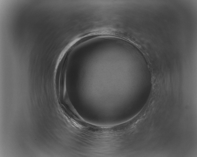 X0000060560200200511031252