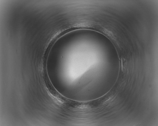 X0000060560204200511031252