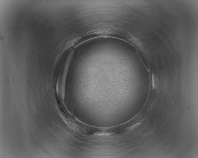 X0000060560205200511031252