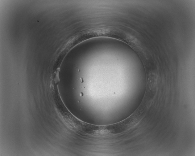 X0000060560212200511031252