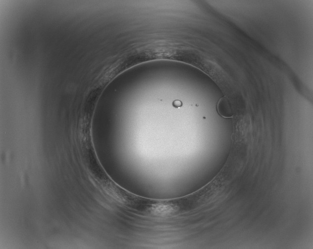 X0000060560218200511031251