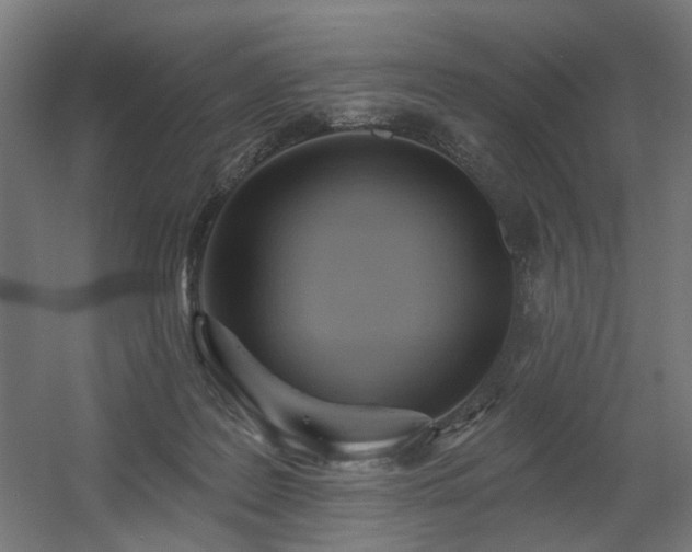 X0000060560219200511031251