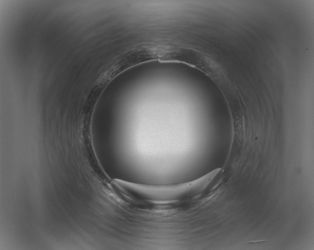 X0000060560221200511031251