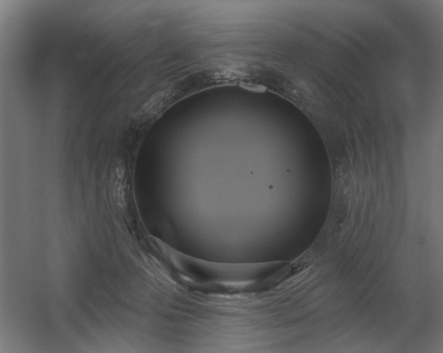 X0000060560223200511031251