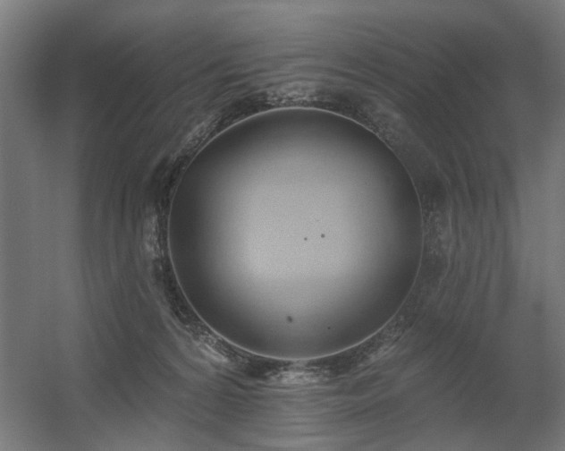 X0000060560224200511031251