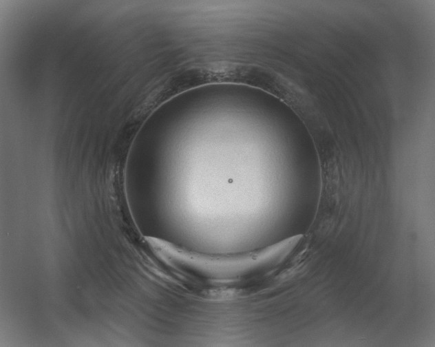 X0000060560225200511031251