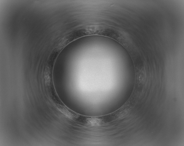 X0000060560226200511031251