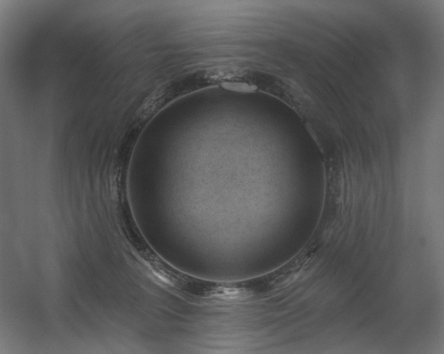 X0000060560227200511031251