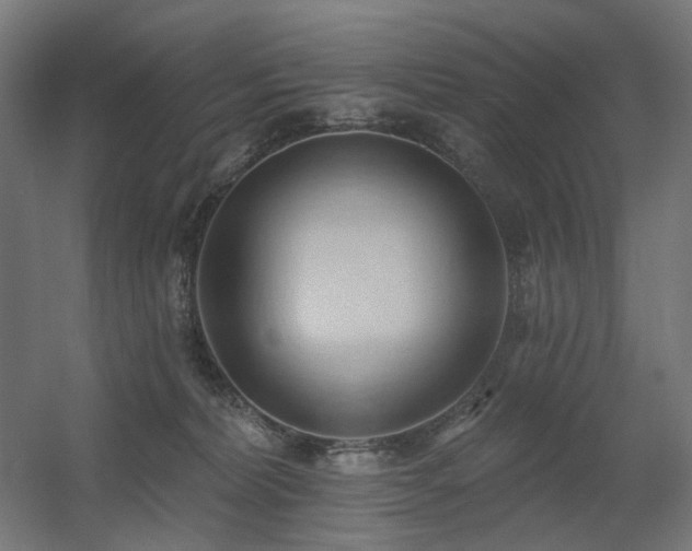 X0000060560228200511031251