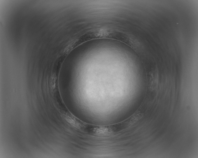 X0000060560230200511031251