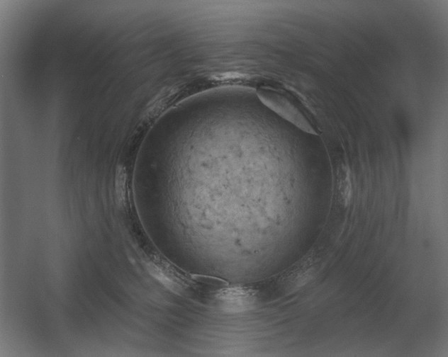 X0000060560231200511031251