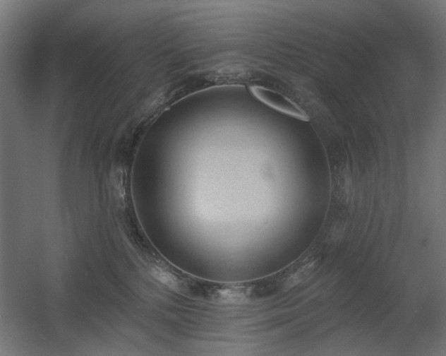 X0000060560232200511031251