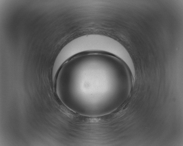 X0000060560233200511031251