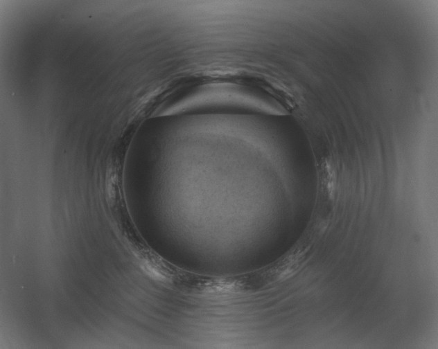 X0000060560235200511031251