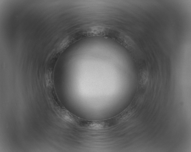 X0000060560236200511031251