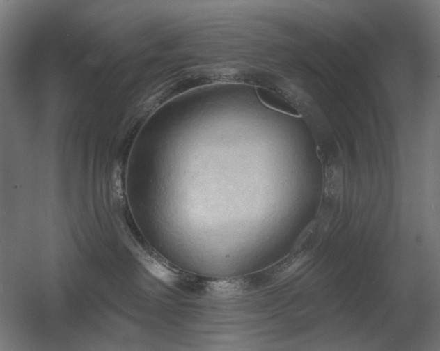 X0000060560238200511031251