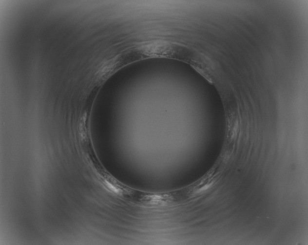 X0000060560239200511031251