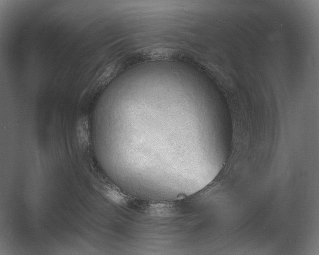 X0000060560240200511031251