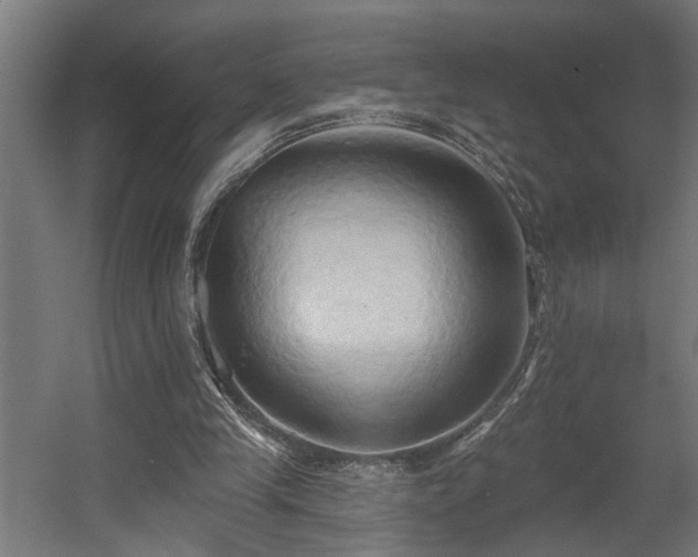 X0000060560245200511031250