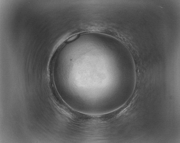 X0000060560246200511031250