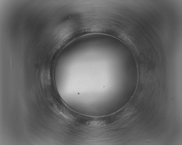 X0000060560251200511031250